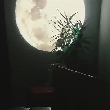 Earth Moon Projector
