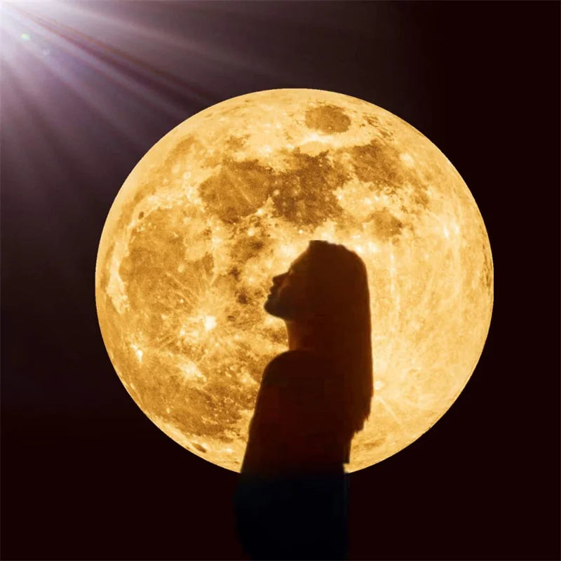 Earth Moon Projector